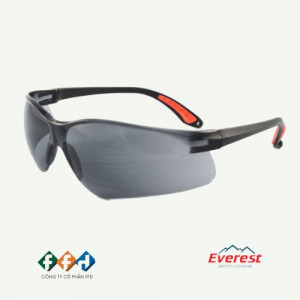 Kính bảo hộ Everest EV-202 - Hàng chính hãng